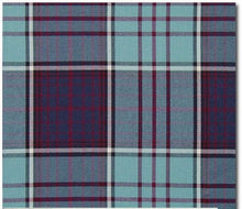 Tartan Dog Collar Scarf
