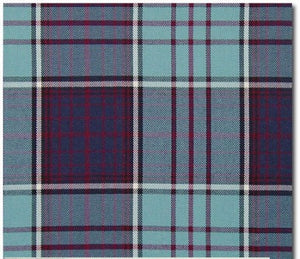 Tartan Dog Collar Scarf