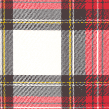 Clan & Specialty Tartan Dog Leash