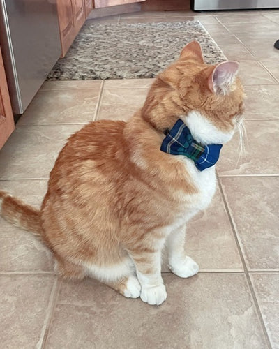 Tartan Small Pet Collar Bow Tie