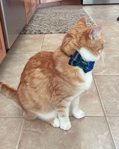 Tartan Small Pet Collar Bow Tie