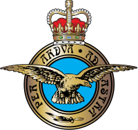 RAF 100 Tartan Rosette Brooch