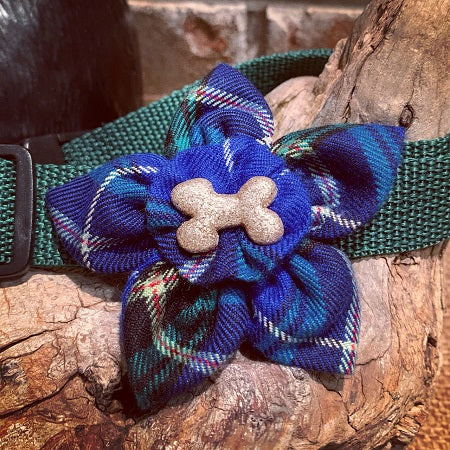 Tartan Dog Collar Petal Brooch